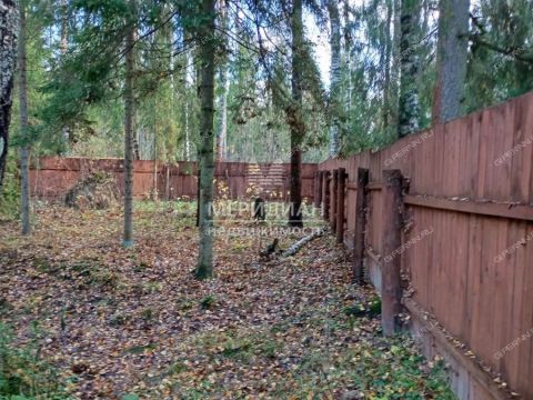 dacha-selo-vershilovo-gorodskoy-okrug-chkalovsk фото