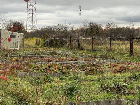 dom-derevnya-novaya-derevnya-kstovskiy-rayon фото