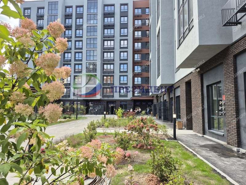 двухкомнатная квартира на улице Белинского дом 23