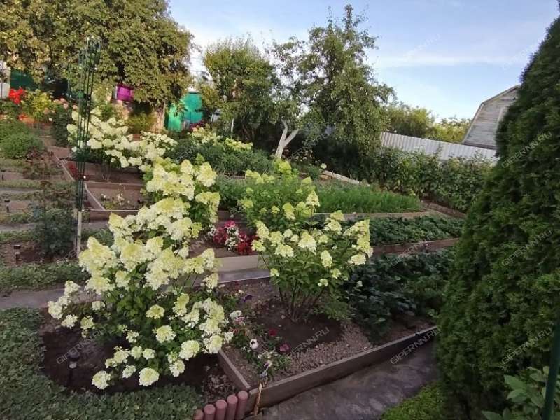 дача на СНТ Надежда