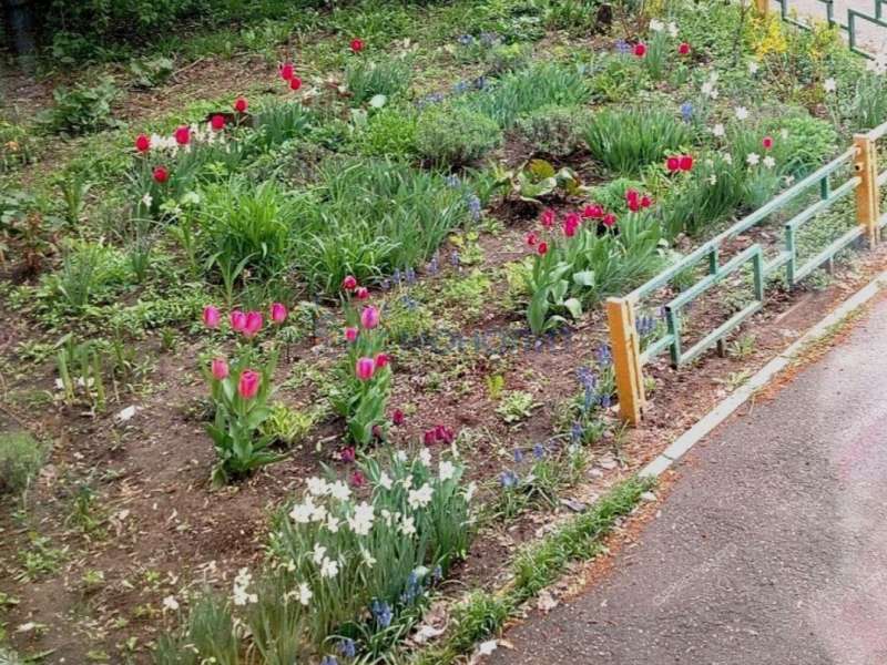 трёхкомнатная квартира на улице Сергея Есенина дом 16