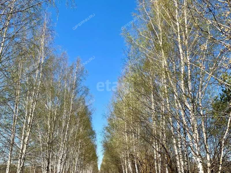 земельный участок 22,1 сотки деревня Колганово