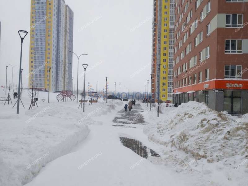 однокомнатная квартира на Черкесской улице дом 19 деревня Анкудиновка