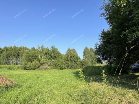 dacha-derevnya-ilinskoe-gorodskoy-okrug-bor фото