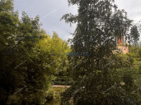 2-komnatnaya-ul-germana-lopatina-d-5a фото