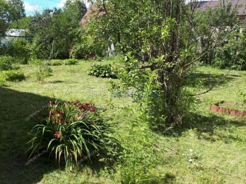 dacha-derevnya-molostovo-gorodskoy-okrug-bor фото
