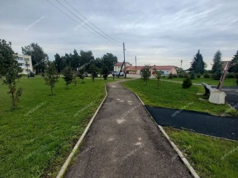 2-komnatnaya-derevnya-prokoshevo-kstovskiy-rayon фото