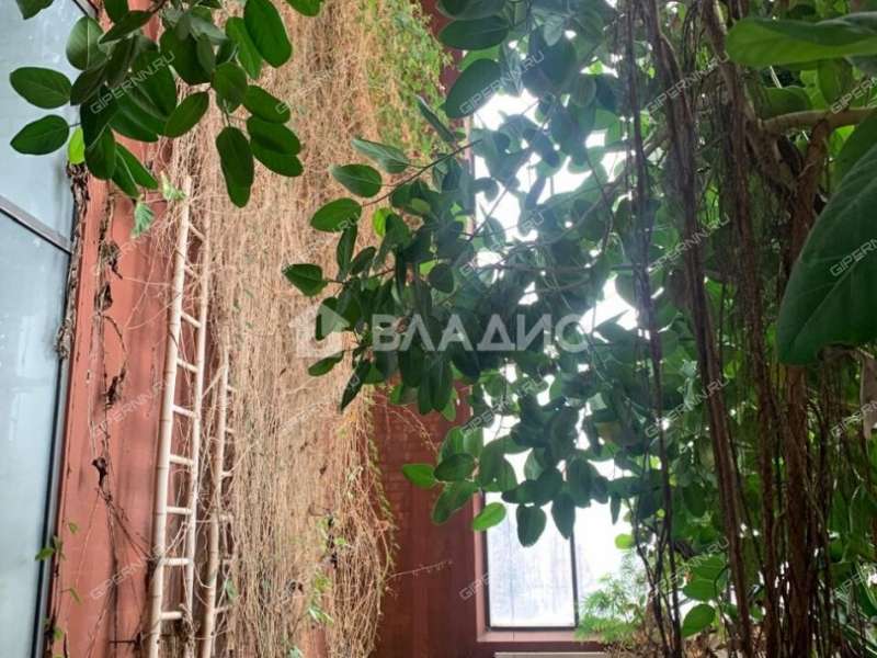 дом на Новой улице деревня Козловка, Ройкинский сельсовет