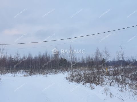 derevnya-vybolovo-bogorodskiy-municipalnyy-okrug фото