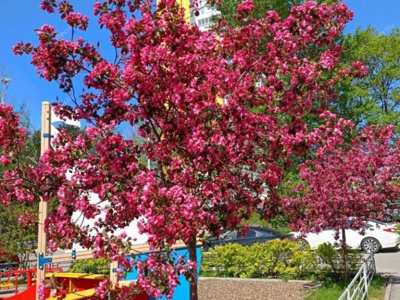 трёхкомнатная квартира на улице Академика Сахарова дом 119 к1