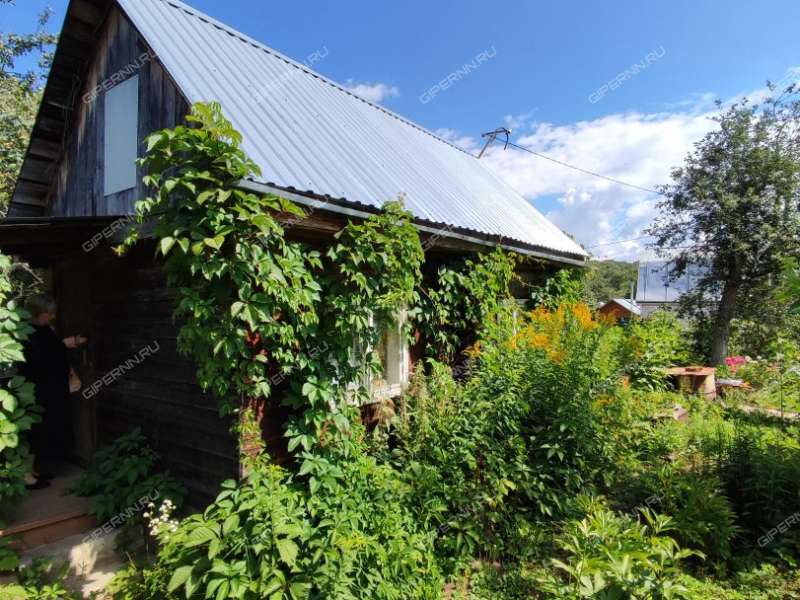 дача в садовом товариществе Дубрава